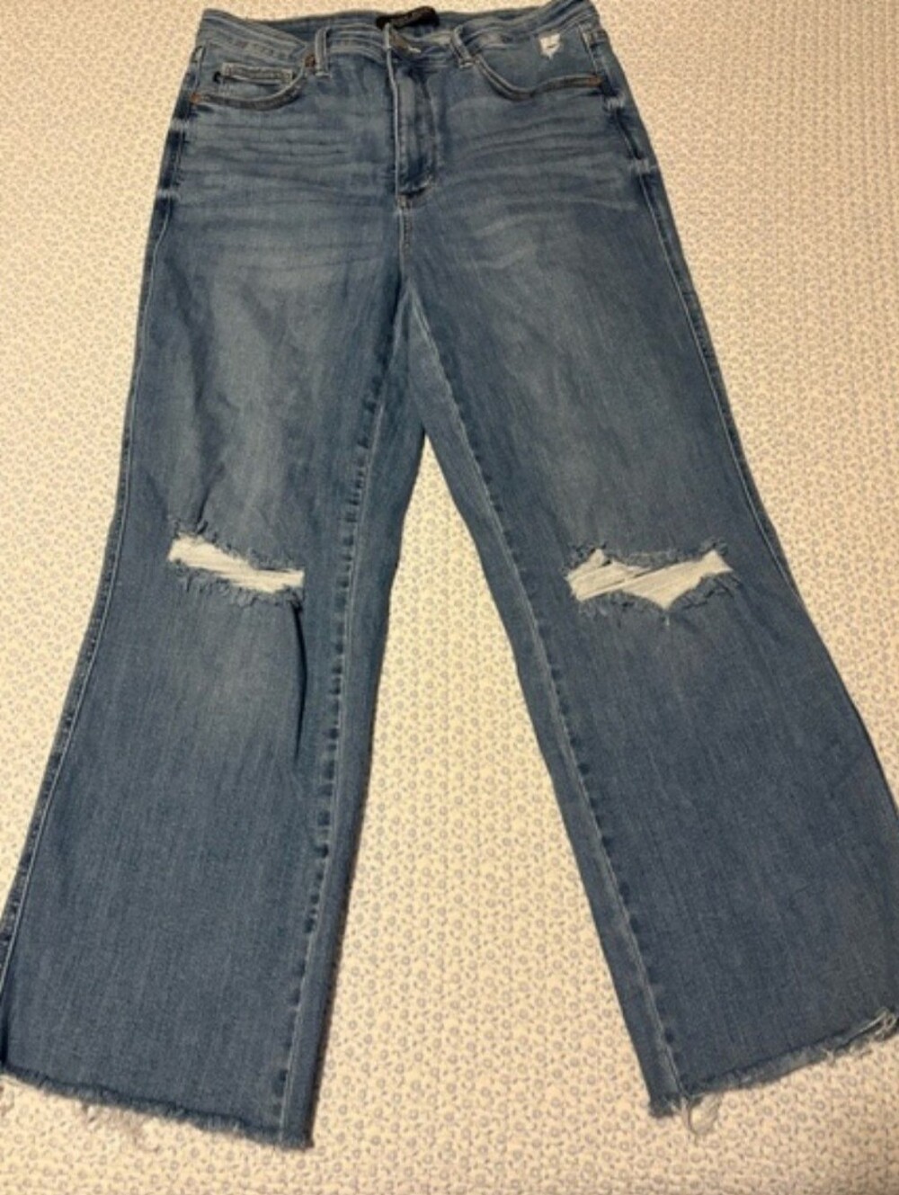 Judy Blue Los Angeles Ripped Jeans Size 13 Or 31